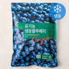 상품 이미지: 딜라잇가든 유기가공식품 인증 블루베리 (냉동), 900g, 1개