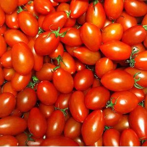 상품 이미지: 탱글탱글 대추방울토마토 5kg 3-4번