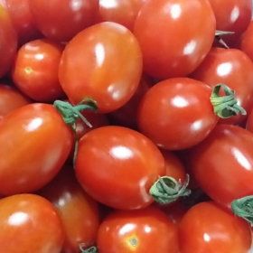 상품 이미지: 대추방울토마토 5kg 4번과 대용량 /총포장재 포함 약 5.1kg 으로 발송합니다