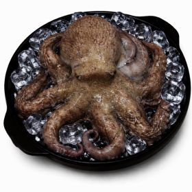 상품 이미지: 산지직송 제철 자연산 돌문어 활문어 자숙문어 제수용1kg (원산지:국산)