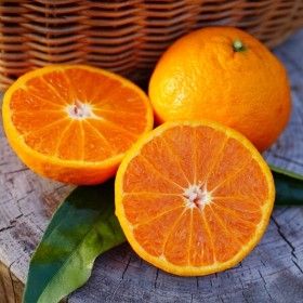 상품 이미지: 제주 카라향 정품(소과) 5kg(35-55과/실중량 4.5kg)