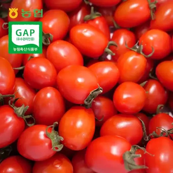 상품 이미지: (빨강)농협선별 대추방울토마토 2kg(1-3번 로얄과)