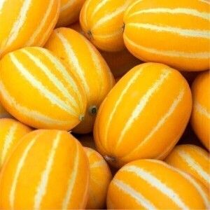 상품 이미지: 성주 맛난이 꿀 참외 5kg 랜덤과 (실중량 4.5kg) 산지직송 맛난이 고당도 꿀참외