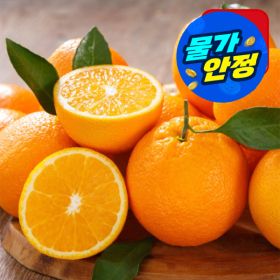 상품 이미지: (물가안정)(신선집중) 고당도 오렌지 신세계푸드 블랙라벨 특대과 3KG (10개~12개) 미국산 직수입