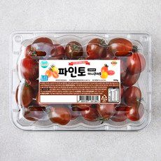 상품 이미지: 파인토 스테비아 미니쿠마토, 500g, 1팩