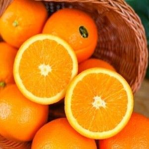 상품 이미지: (신선집중) 고당도 네이블 오렌지 블랙라벨 4.5kg 특대과 (13-15과 내외 실중량) / 2000 박스 한정수량