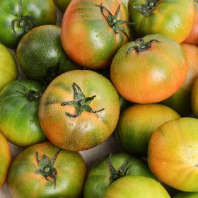 상품 이미지: (신선집중) 부산 대저토마토 2.5kg (S-3S)로얄과 정품 /올해 마지막 대저토마토