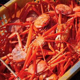 상품 이미지: 홍게 4kg 자숙 비품 몸통 60%내외 다리 70%내외 급냉