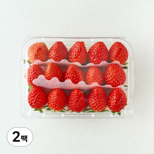 상품 이미지: 곰곰 설향딸기, 500g(M), 2팩