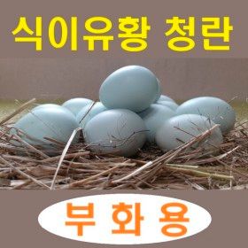 상품 이미지: 자연방사 청란 부화전용 (40구) 계란 유정란 청계알 (난각1번)