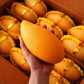 상품 이미지: (호텔납품용) 20brix 프리미엄 태국 골드망고 // 2kg 6과수내외