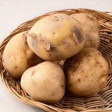 상품 이미지: 국내산 햇 감자, 500g, 1개