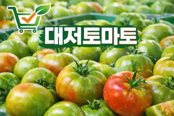 상품 이미지: 백점마켓 엄선 대저토마토 제철 고당도 단짠 특품 대저짭짤이 토마토 백점마켓 소과 3S_S과 2.5k