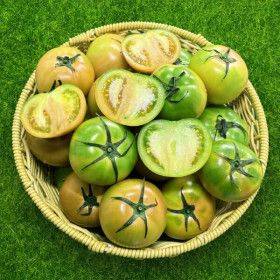 상품 이미지: (신선집중) 부산 고당도 대저 토마토 2.5kg (랜덤/못난이) 혼합과