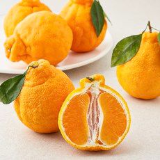 상품 이미지: 곰곰 당도선별 한라봉 소과, 1kg(5~6입), 1봉