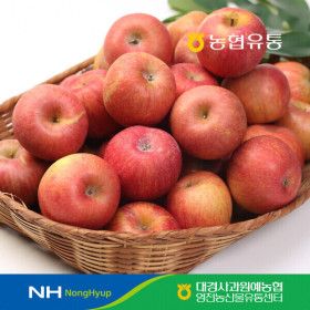 상품 이미지: (신선집중) 농협유통 경북 정품 사과 4kg - 28과내 꼬마과 /아삭아삭 달콤