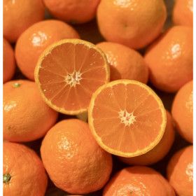 상품 이미지: (하루딱50박스) 최대16brix 상큼달콤 제주 카라향 // 5kg 한정특가 가정용 혼합과