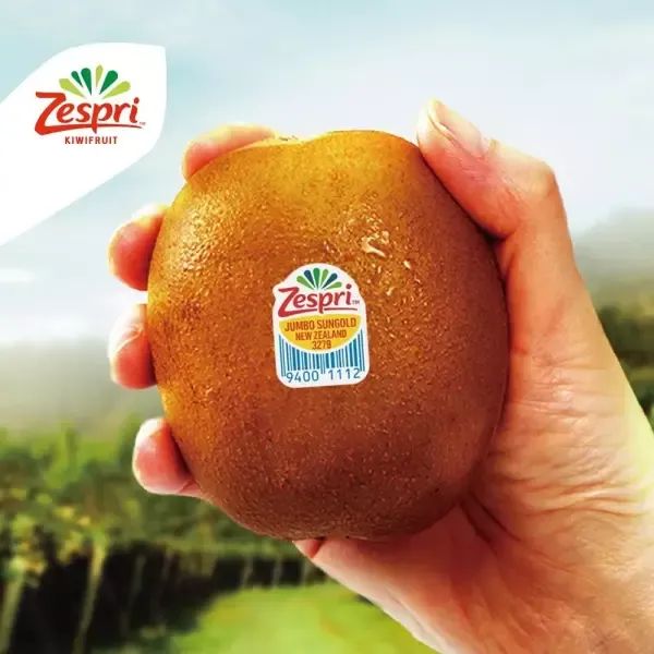 상품 이미지: ㅁ 골드키위 자이언트 사이즈 총 3.2kg (21입, 개당 150g 내외)