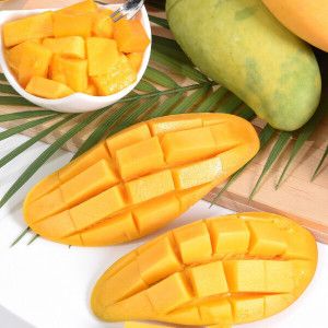 상품 이미지: (신선집중) 마하차녹 무지개 망고 대과 8-12과(총 4kg내외) 항공물량