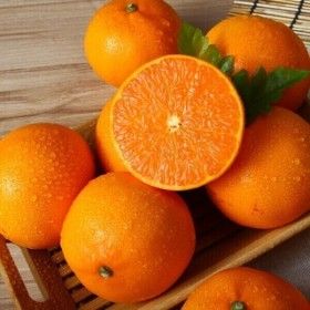 상품 이미지: (신선집중) 제주 13brix당도선별 천혜향 가정용 중대과 4kg(16-25과)