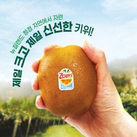 상품 이미지: 정품 제스프리 썬골드키위  2kg  왕대 16입/점보13입 선택구매 프리미엄과일 골드키위