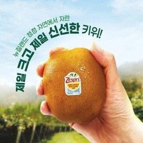 상품 이미지: 제스프리 골드키위 점보 20과 3.1kg 개당 155g 내외