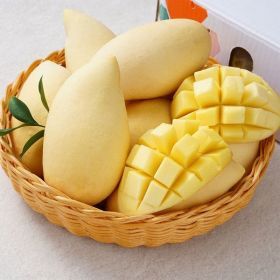 상품 이미지: (NS홈쇼핑)태국 남독마이 망고 4kg 8-12과35763786