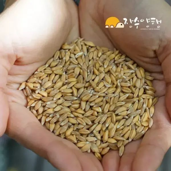 상품 이미지: [장수양행] 파로 1kg 엠머밀 슈퍼푸드