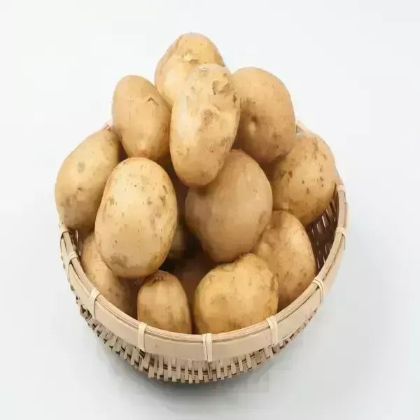 상품 이미지: [품질보증] 26년수확! 국내산 포슬포슬한 햇 수미 감자 3kg 중-소 혼합