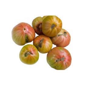 상품 이미지: 부산명물 대저 찰 토마토 5kg 몬난이 랜덤과기형과