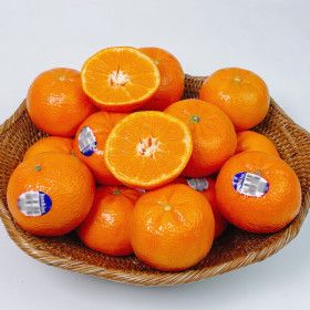 상품 이미지: (신선집중) 미국산 만다린 귤 특품 블랙라벨 수입산 달콤한 만다린 특품 3kg