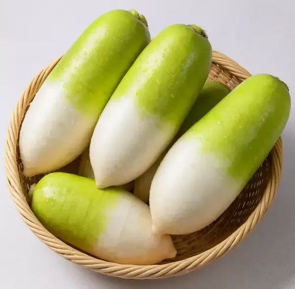 상품 이미지: 국내산 제철 햇무 제주 월동무