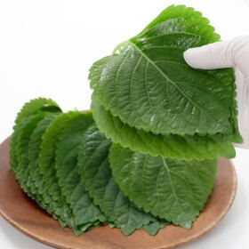 상품 이미지: 경산 하양 싱싱한 깻잎 찹찹이 당일수확 직송 500g