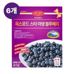 상품 이미지: 캐나다 100% 옥스포드 냉동 야생블루베리 340g 6개