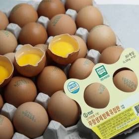 상품 이미지: 난각번호 1번 HACCP 무항생제인증 방사 유정란 60구 100%파손보상