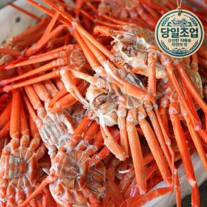 상품 이미지: 3일특가 박달홍게 파격적 할인 / 6kg 대용량 실속형 자숙 홍게  / 당일조업 (오후 4시이전 주문시 당일출고)