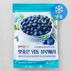 상품 이미지: 곰곰 냉동 블루베리, 1kg, 1개