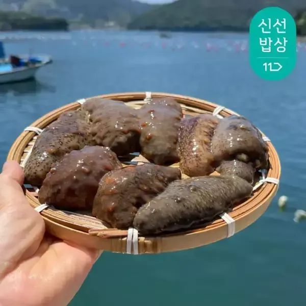 상품 이미지: [품질보장]이순신수산 통영 제철 자연산 해삼 500g