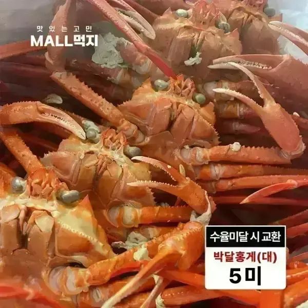 상품 이미지: [수율미달시 교환가능]살이꽉찬 깊은바다 울릉도 독도 붉은대게 속초 최상급 박달홍게 대 2kg (5미)