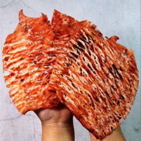 상품 이미지: (신선집중) 철판구이 몸통 오징어 7~14미 200g