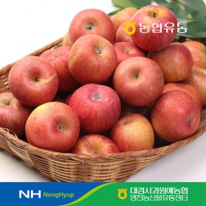 상품 이미지: (신선집중) 농협유통 경북 정품 사과 4kg - 28과내 꼬마과 /아삭아삭 달콤