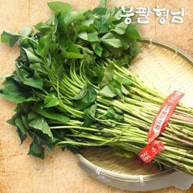상품 이미지: 꿀고구마모종 20kg 고구마줄기 신품종 해남농장