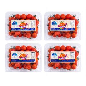 상품 이미지: 달콤한 토망고 2kg (500g x4팩) 스테비아 대추방울토마토 일반/망고향/청포도향