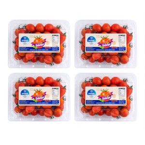 상품 이미지: 달콤한 토망고 2kg (500g x4팩) 스테비아 대추방울토마토 일반/망고향/청포도향