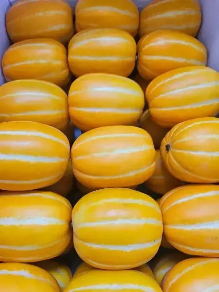 상품 이미지: 프리미엄 성주 참외 특품 가정용 10kg