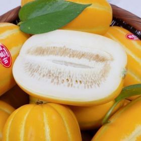 상품 이미지: (신선집중) 20%+12%/ 고당도 성주 꿀 참외 가정용 가정용 참외 랜덤과 실중량 4.5kg 9-36과
