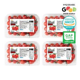 상품 이미지: 스테비아 단마토 대추방울토마토 2kg(1~3번과/로얄과)