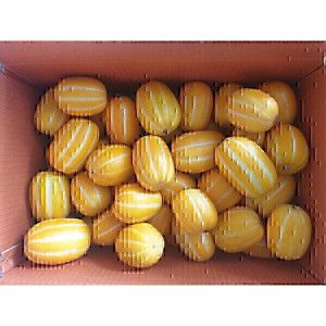 상품 이미지: (신선집중) 성주참외 가정용 몬난이 참외5kg (4.5kg)실중량 한정수량