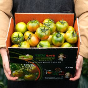 상품 이미지: 부산 대저 산지직송 단짠토마토 대저 토마토 주스용 혼합 / (3S~L) 2.5kg