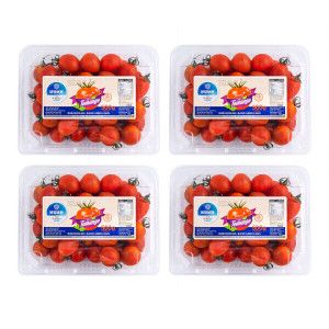 상품 이미지: 달콤한 토망고 2kg (500g x4팩) 스테비아 대추방울토마토 일반/망고향/청포도향